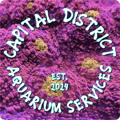 Capital District Aquarium Services